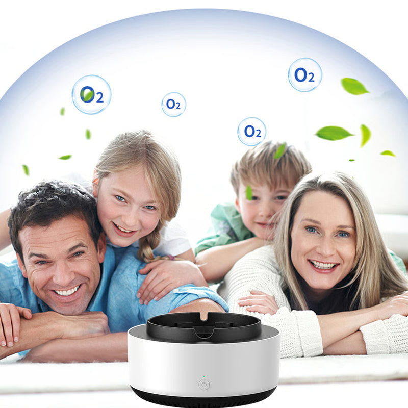 Portable Anion Air Purifier