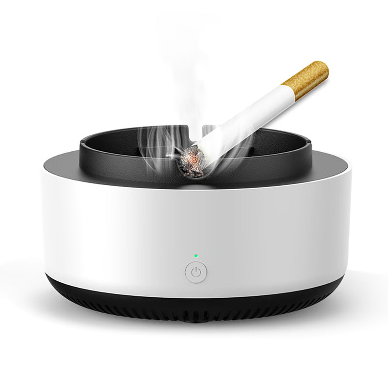 Portable Anion Air Purifier